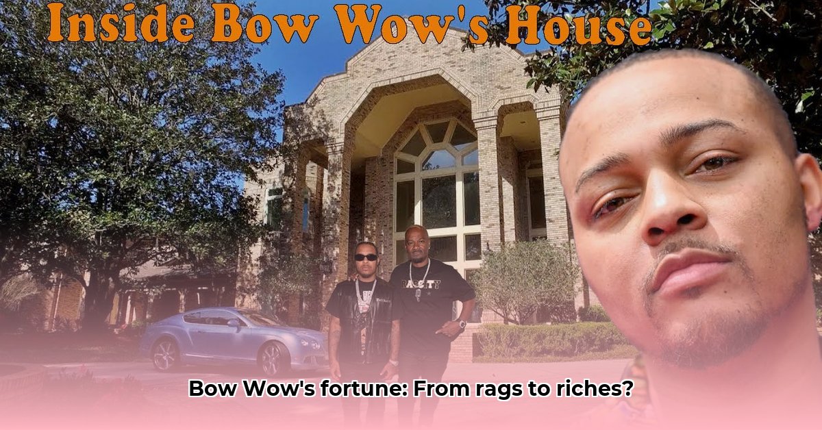 bow-wow-s-net-worth